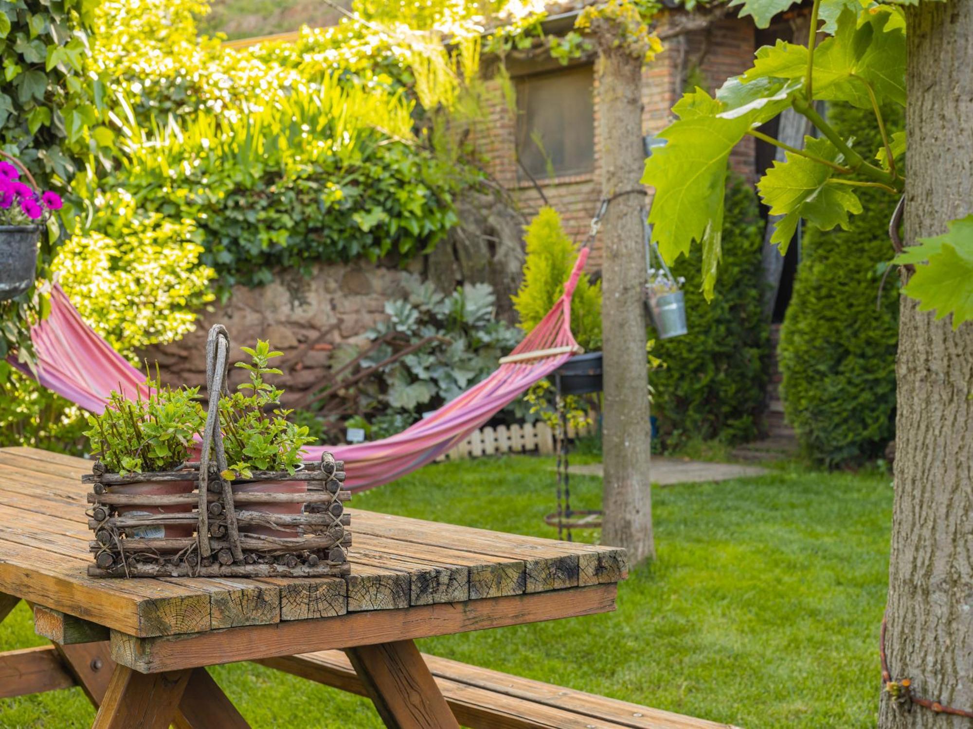 Loft&garden *